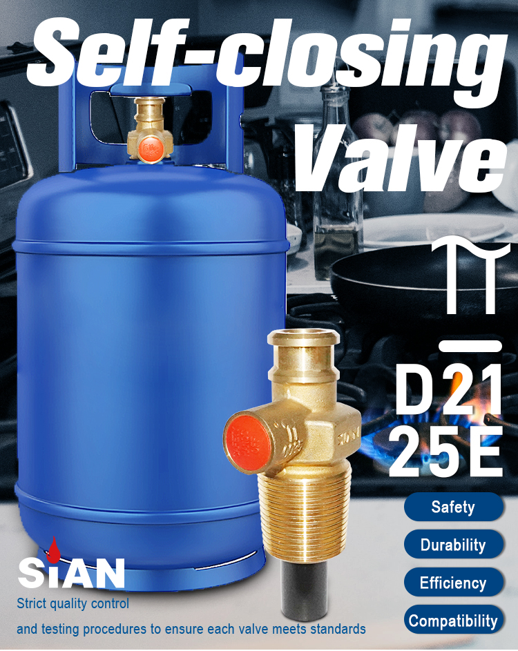 SiAN LPG D21 25E Self-closing Valve (1)