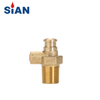 SiAN D20 Self-Closing Valve – Safe & Efficient Auto-Shut LPG Cylinder Valve