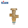 SiAN PV05 Composite Cylinder Valve – Lightweight & Durable LPG Valve for Composite Bottles