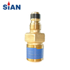 SiAN D16 LPG Tank Self-closing Cooking Snap-on Valves For Philippines