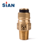 SiAN D35 Safety LPG Cylinder Control Valves