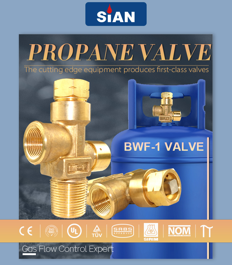 BWF-1 Propane valve (1)