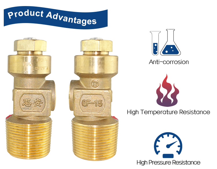 C2H2 Acetylene Valve (4)