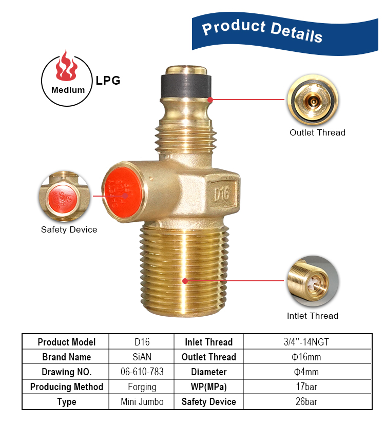 LPG D16 Jumbo Valve (3)