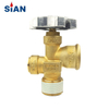 100 Pound LPG Gas Cylinder Valve MX100 Safety LPG POL Valve For Mexico
