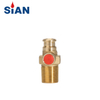 SiAN D20 Self-Closing Valve – Safe & Efficient Auto-Shut LPG Cylinder Valve