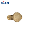 SiAN Valve Manufacturer LPG Cylinder Safety Brass POL Valves 