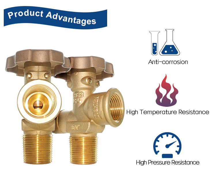 V9S3 POL LPG Gas Cylinder Valve SABS Certification (10)