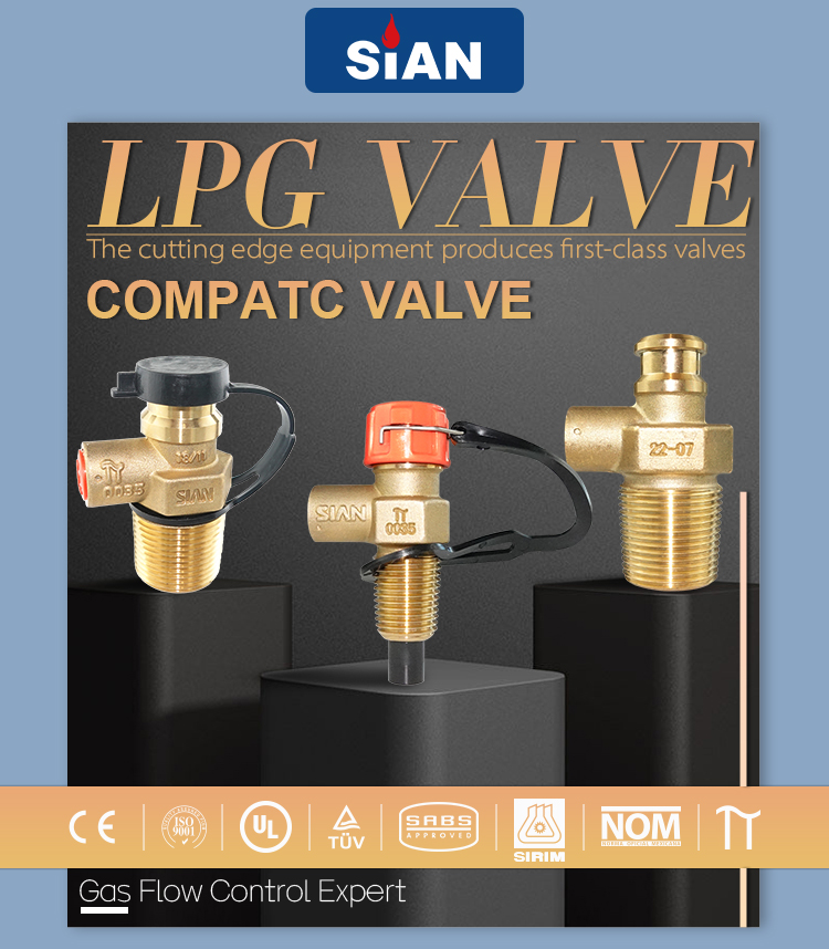 D21 Compact Valve (1)