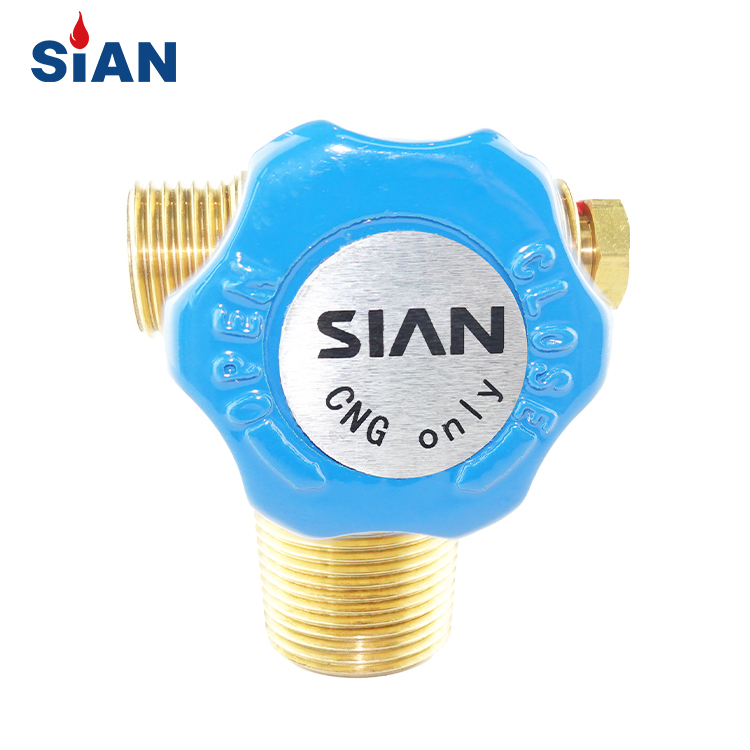 CTF-1 Guaranteed SiAN Brand Outing Car Use Natural Gas Cylinder Valve Brass for Vehicle