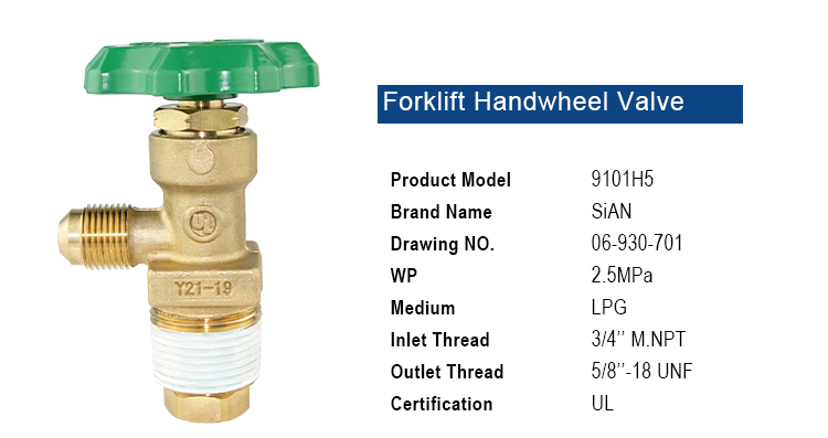 LPG Forklift Tank Valve (6)