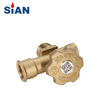 SiAN Valve Manufacturer LPG Cylinder Safety Brass POL Valves-V6