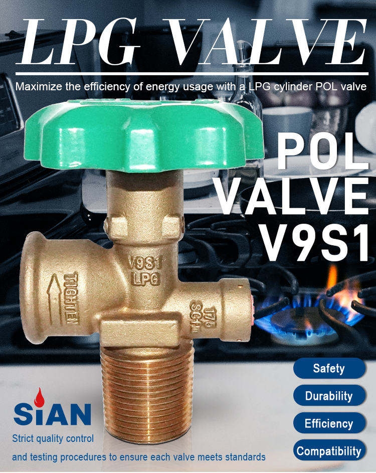 LPG Cylinder POL Valve (1)