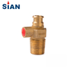 Barbecue Using Pressure Relief Brass LPG Valve