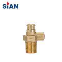 SiAN D20 Self-Closing Valve – Safe & Efficient Auto-Shut LPG Cylinder Valve