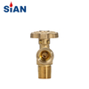 SiAN Valve Manufacturer LPG Cylinder Safety Brass POL Valves-V6