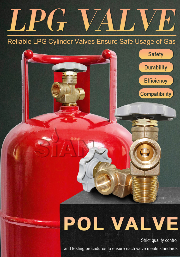 LPG Gas Cylinder POL Valve (2)