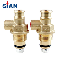 SiAN Brass D22 LPG Composite Cylinder Compact Valves Manufacturer