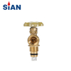 SiAN V6 POL Valve LPG Gas Cylinder Valve Safety LPG Valve