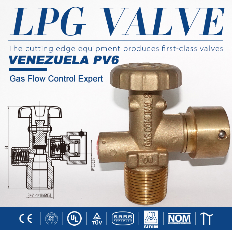 LPG Venezuela Standard Inflable Head Valve PV6 (6)
