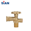 SiAN Valve Manufacturer LPG Cylinder Safety Brass POL Valves-V6