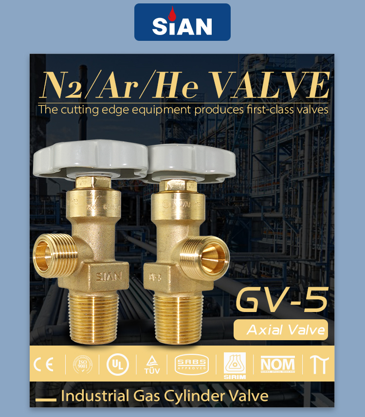 N2 Ar He Valve (13)